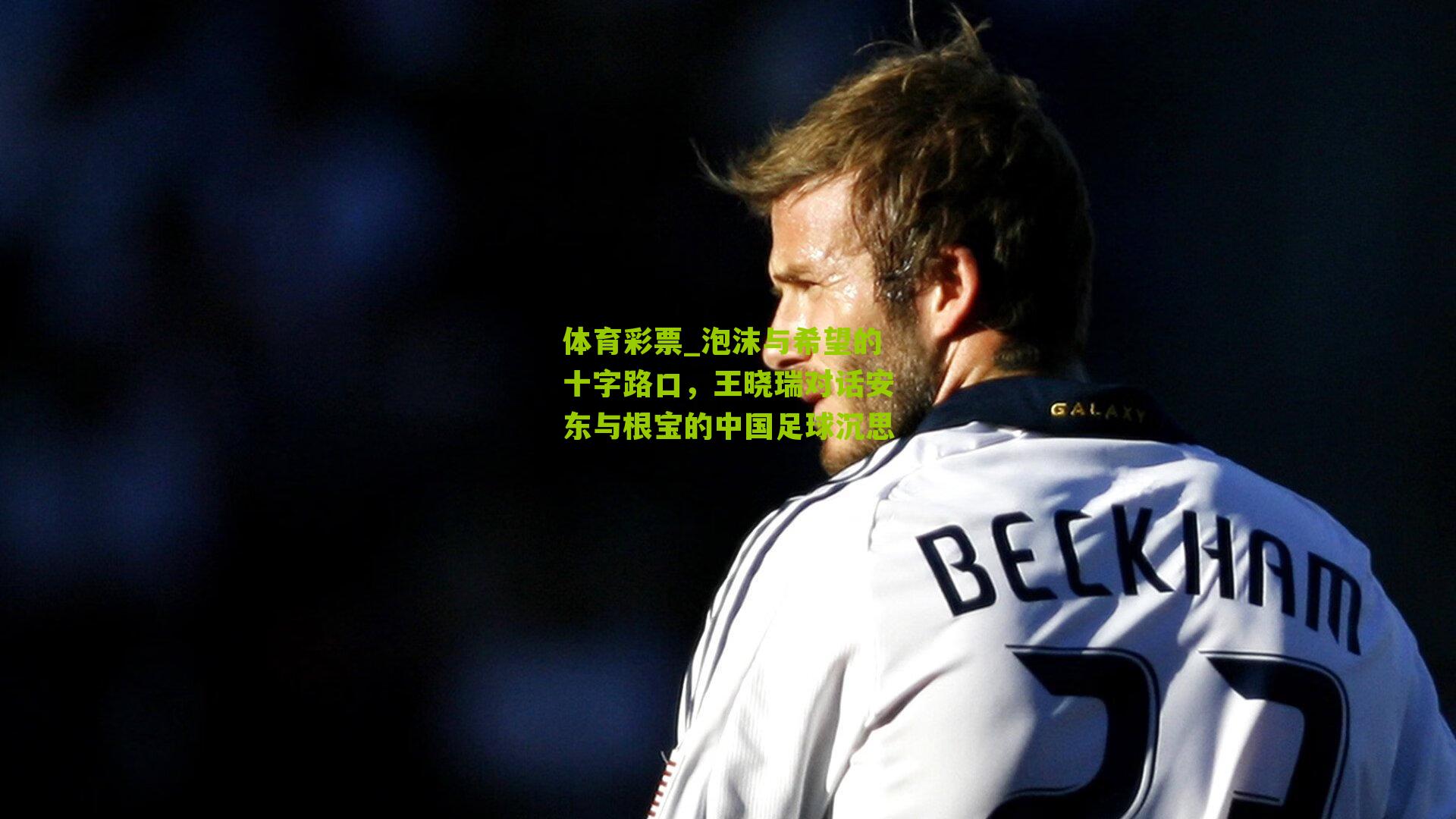 泡沫与希望的十字路口,王晓瑞对话安东与根宝的中国足球沉思